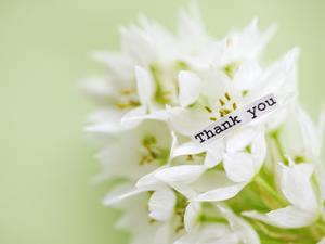 厨房用品の購入には通販の活用を