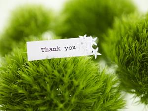 オフィスマネージャー向け業務用シュレッダーの選び方とおすすめポイント